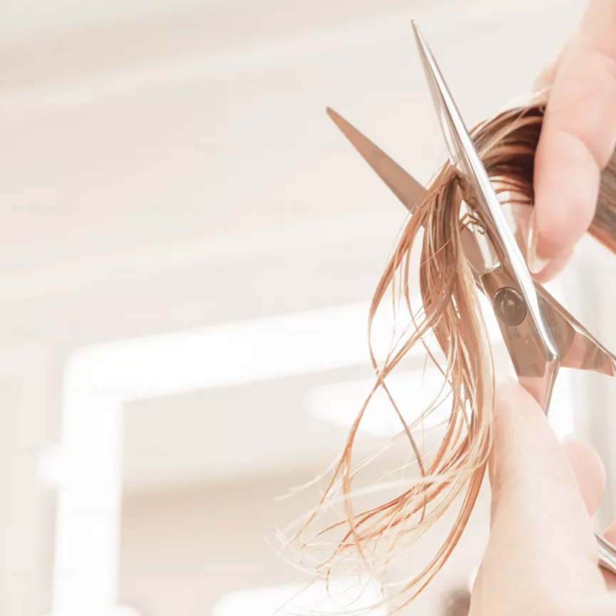 Friseurin schneidet Spitzen mit Schere und Kamm